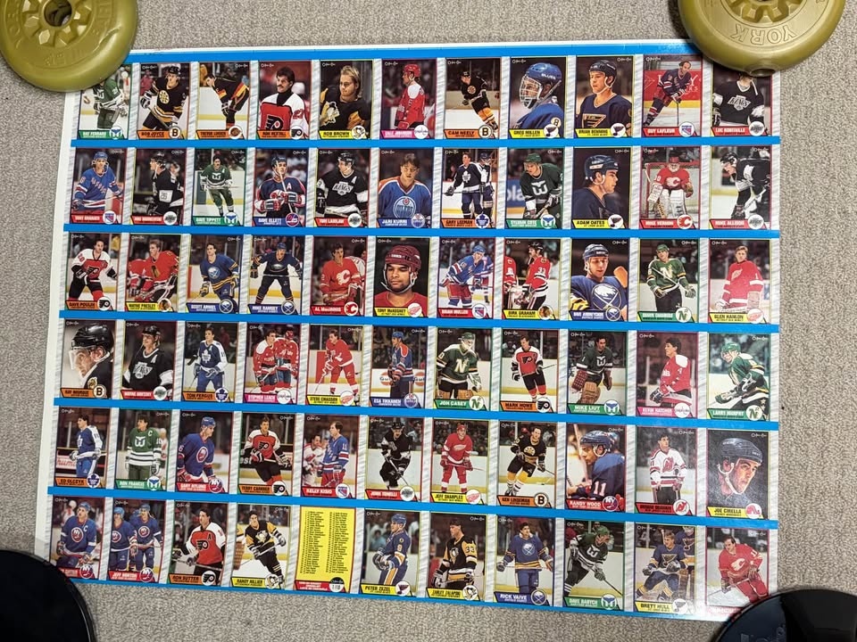 1989-1990 O-Pee-Chee NHL Uncut Sheets Set - photo 3