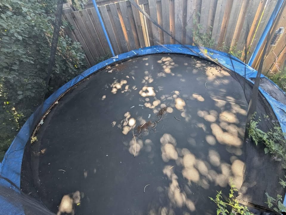 Trampoline 12Foot - photo 5