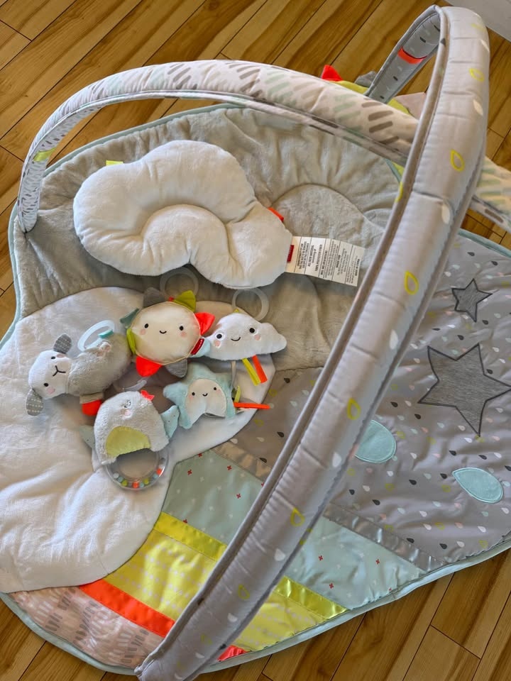 Skip Hop Silver Lining Cloud Baby Play Gym