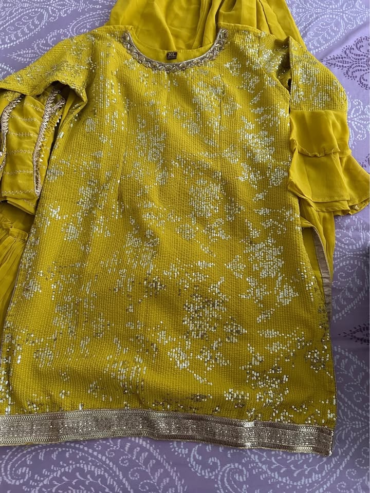 Indian traditional women kurta sharara and dupatta - photo 3