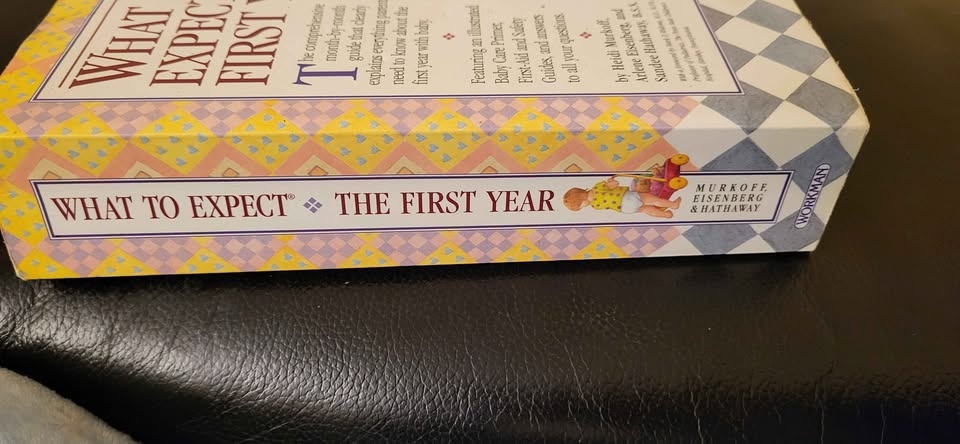 What to Expect The First Year Baby Book - photo 2