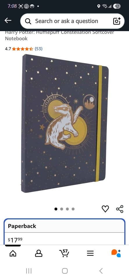Hufflepuff Journal - photo 4