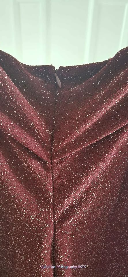 Libian Brand 1x Long Burgundy Dress - photo 2