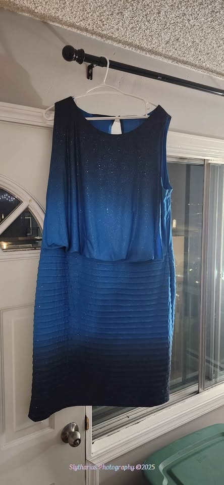 Michel Antoni 18W Blue and Navy Sparkle Dress