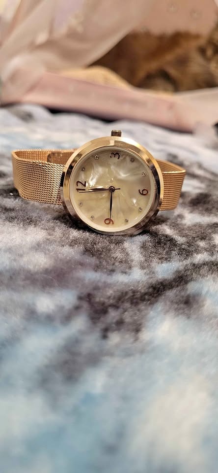 Accutime Rose Gold Mesh Watch WCP2009RGT