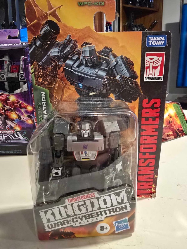 Kingdom Megatron - photo 4