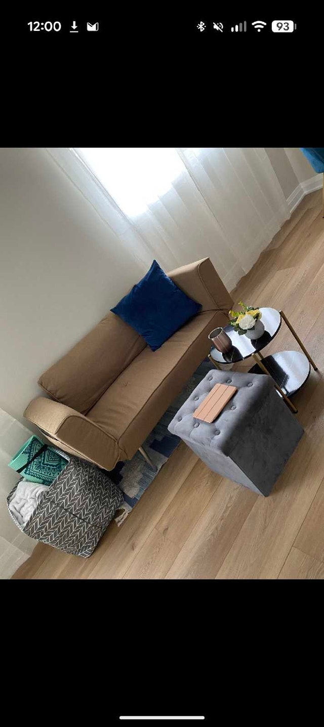Apartment Size Loveseat Sofa – Moving Sale