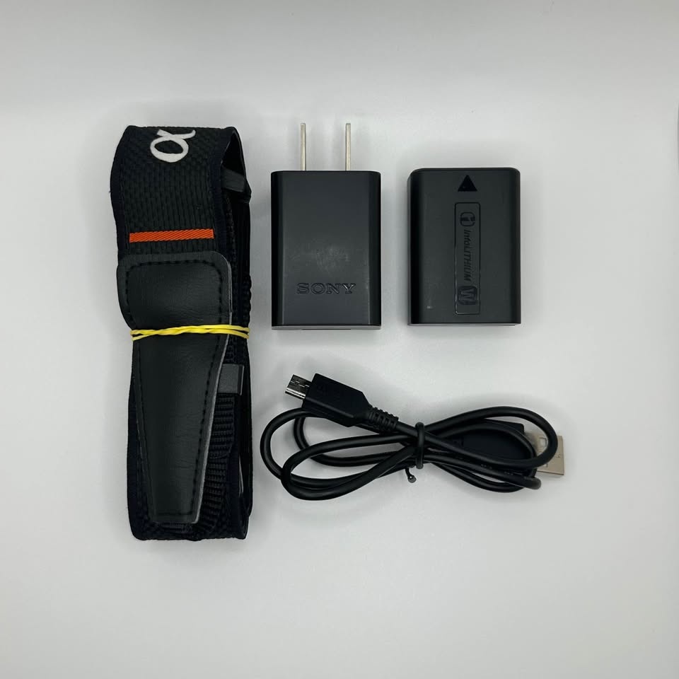 Sony a6000 w/ 16-50mm Kit Lens Bundle - photo 3