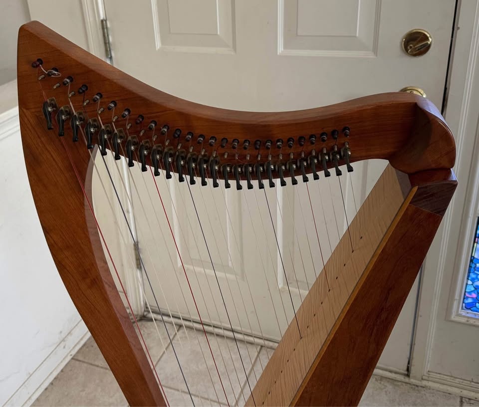 VTG 2000 Dusty Strings FH26 26 String Harp Bubinga Wood - photo 3