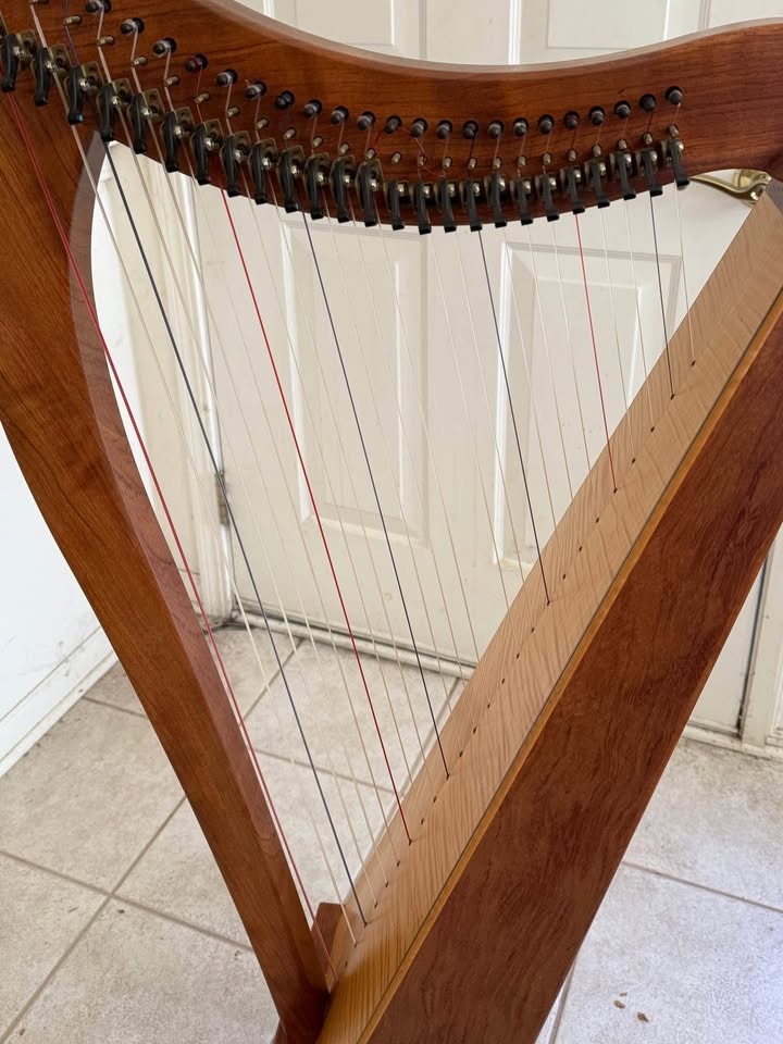 VTG 2000 Dusty Strings FH26 26 String Harp Bubinga Wood - photo 4