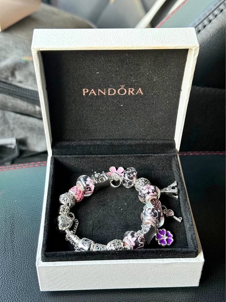 Pandora Charm Bracelet with Pink Black Purple Charms