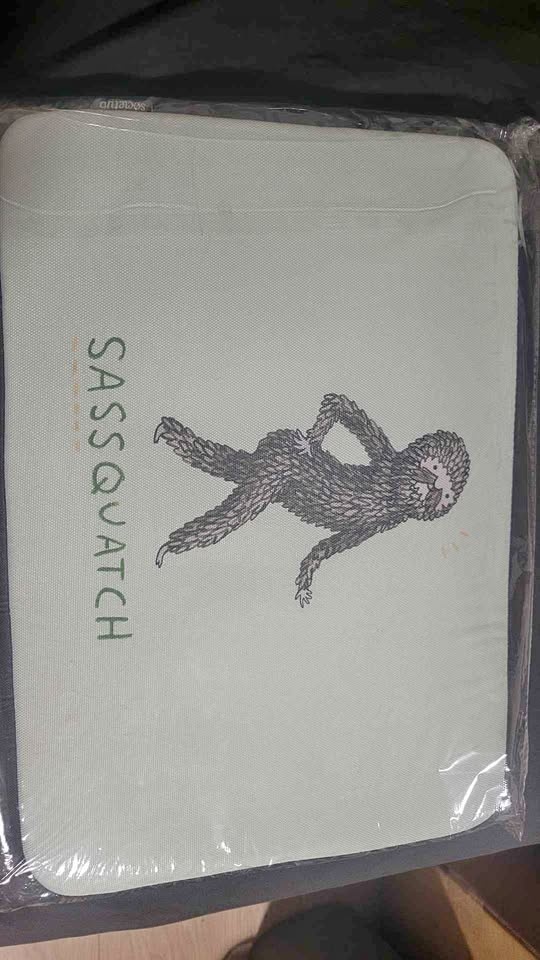 Laptop Case