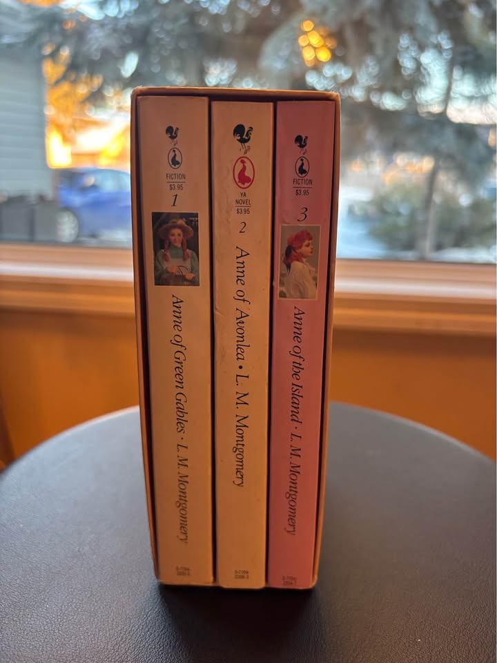 Anne of Green Gables Book Set - photo 3