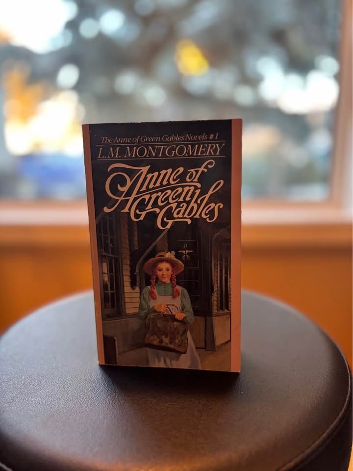 Anne of Green Gables Book Set - photo 4