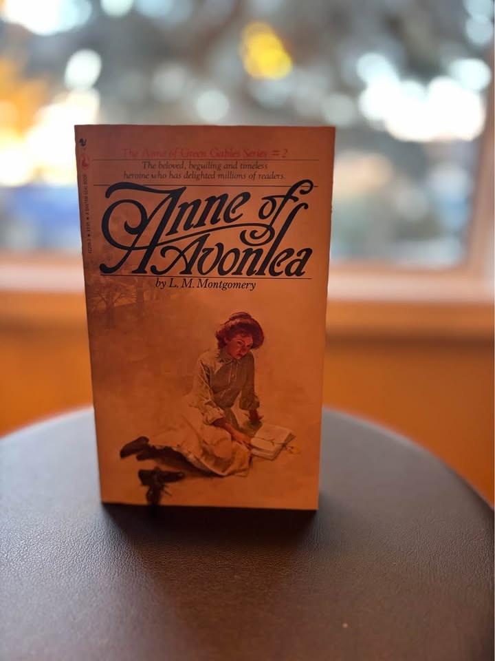 Anne of Green Gables Book Set - photo 5