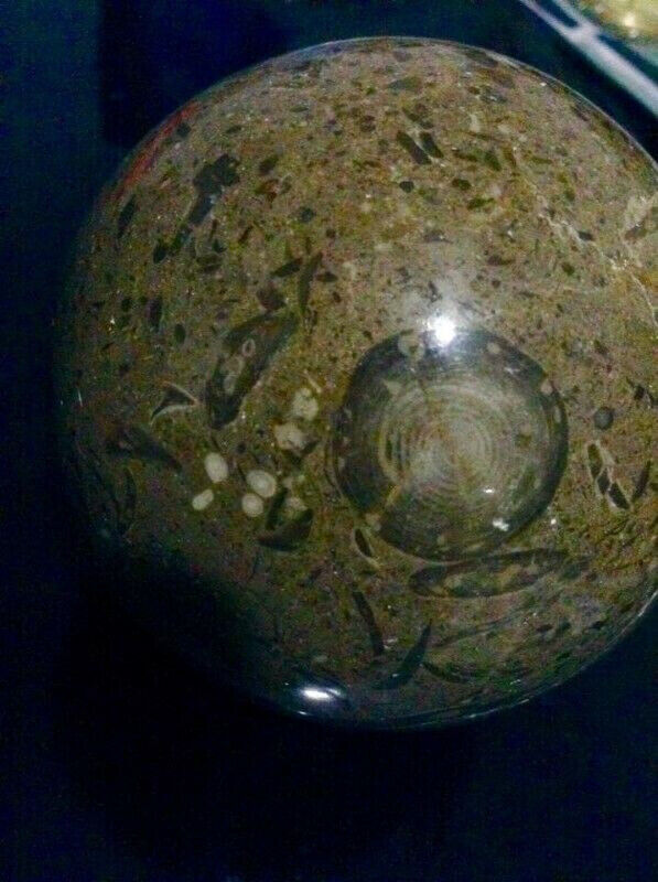 Rare Antique Authentic Fossil Ball
