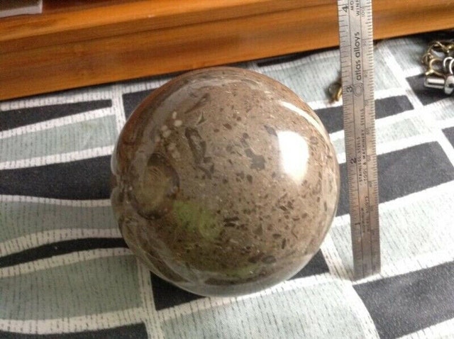Rare Antique Authentic Fossil Ball - photo 3
