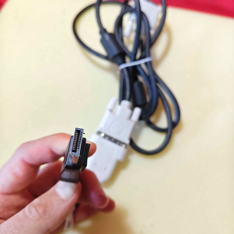DisplayPort to DVI Converter Cables - photo 2