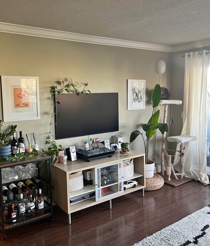 TV Stand & Coffee Table