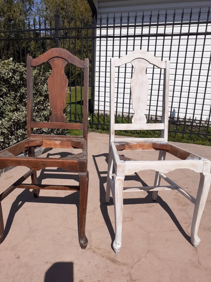 4 Chairs with Palm Tree Design - photo 3