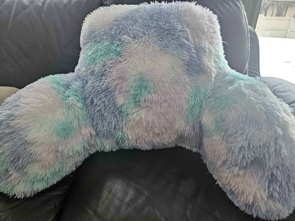 Reading Pillow New