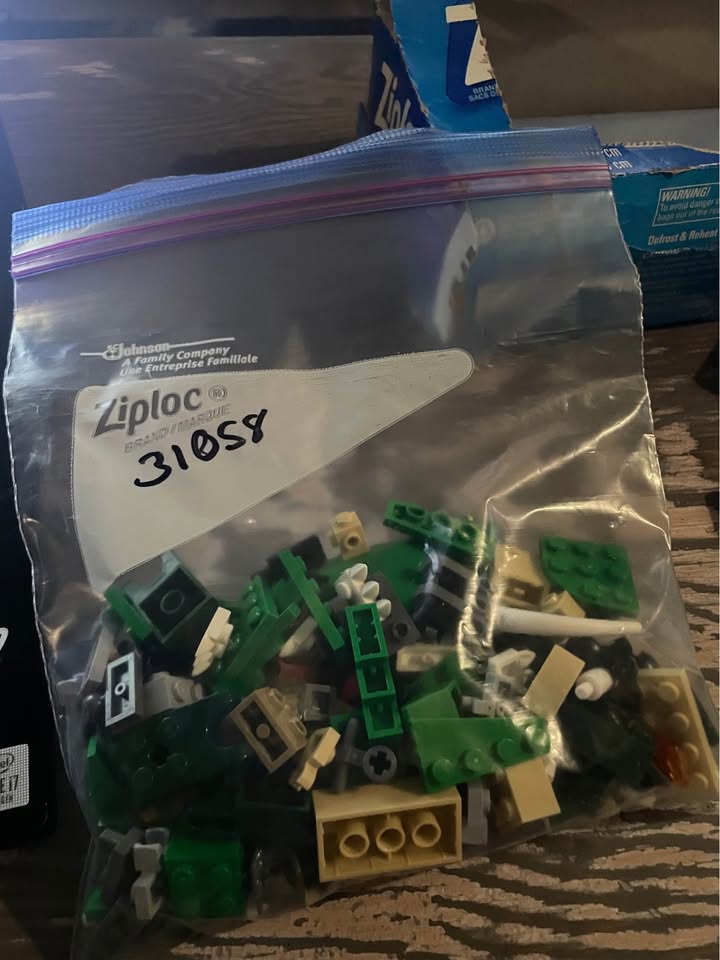 LEGO 31058 - 3-in-1 Mighty Dinosaurs - photo 5