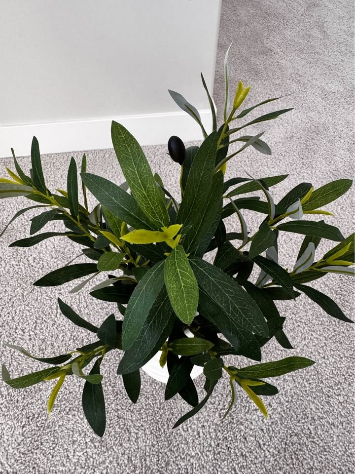 ARTIFICIAL INDOOR PLANT - photo 3