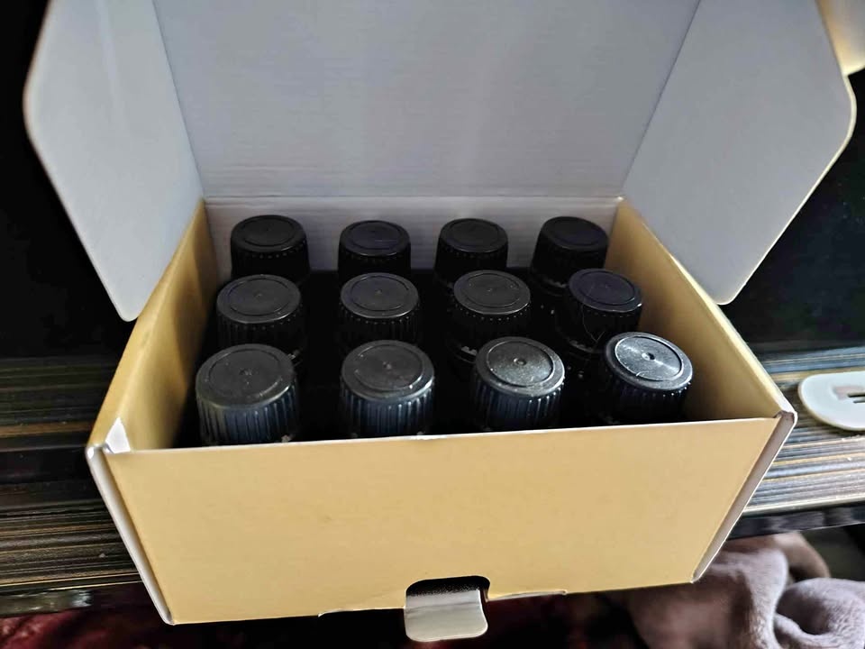 Anjou Essential Oils - 12 Pack