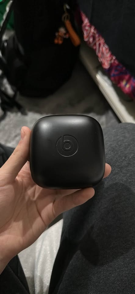 Beats Pro Earbuds - photo 3