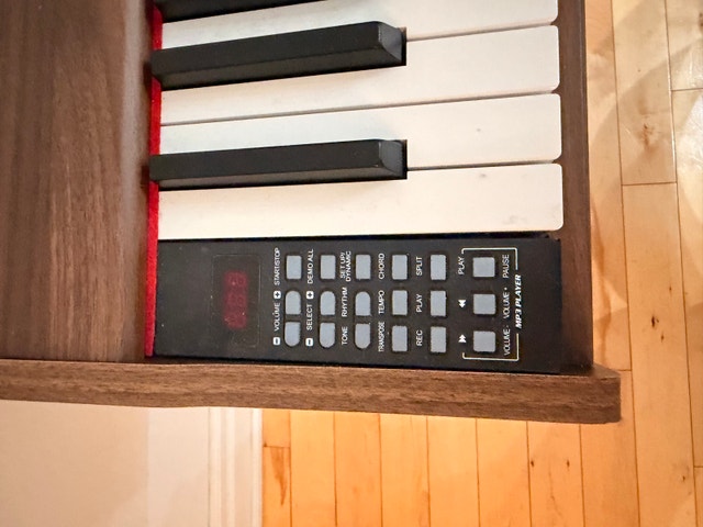 Strich Digital Piano - 88 Weighted Keys - photo 2
