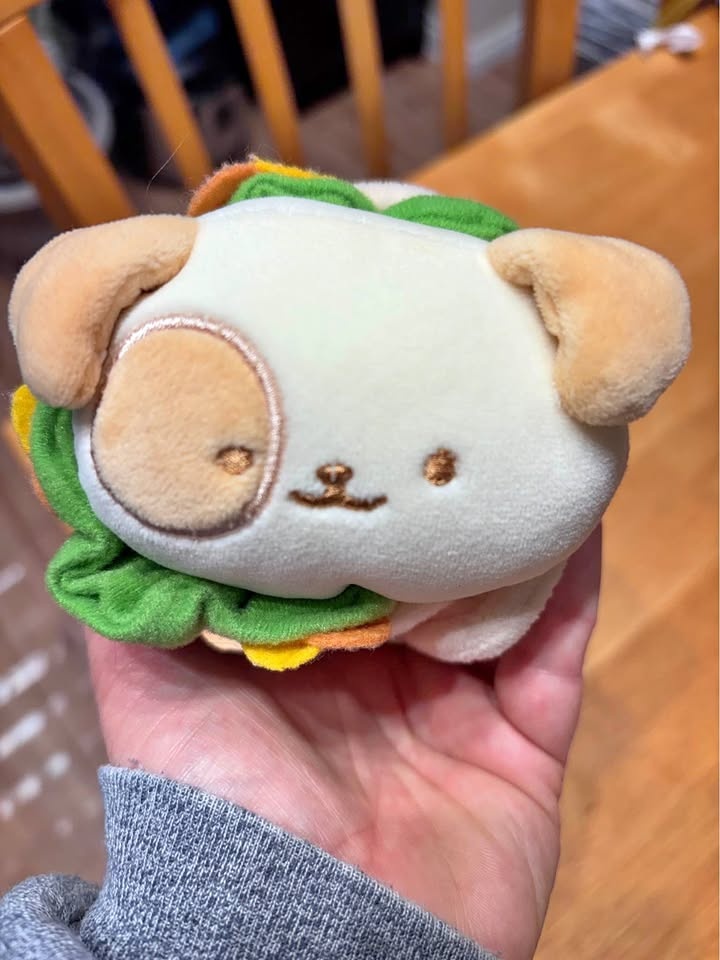 Cute dog in burrito stuffy