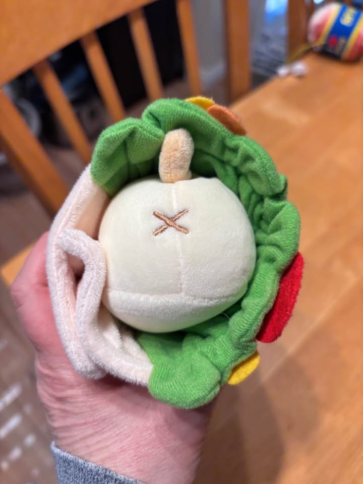 Cute dog in burrito stuffy - photo 3