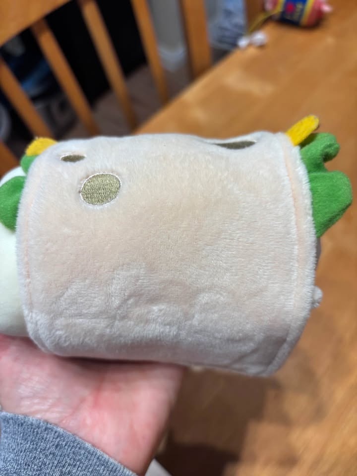 Cute dog in burrito stuffy - photo 4