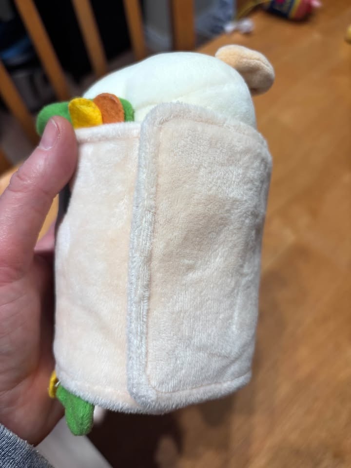 Cute dog in burrito stuffy - photo 5