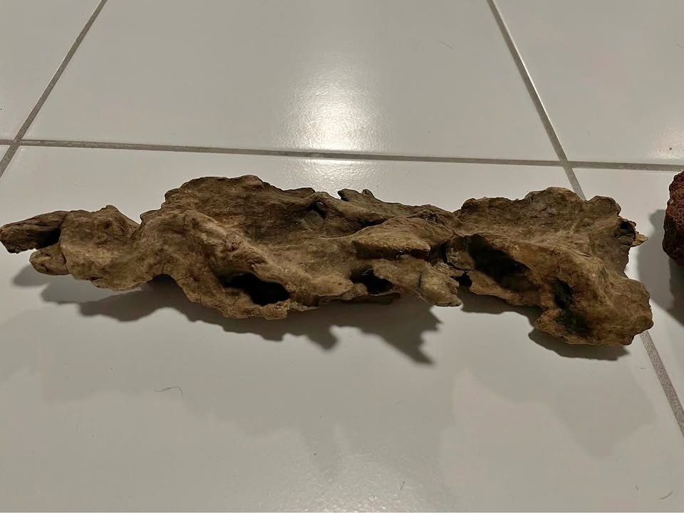 Aquarium Decoration Wood & Rocks