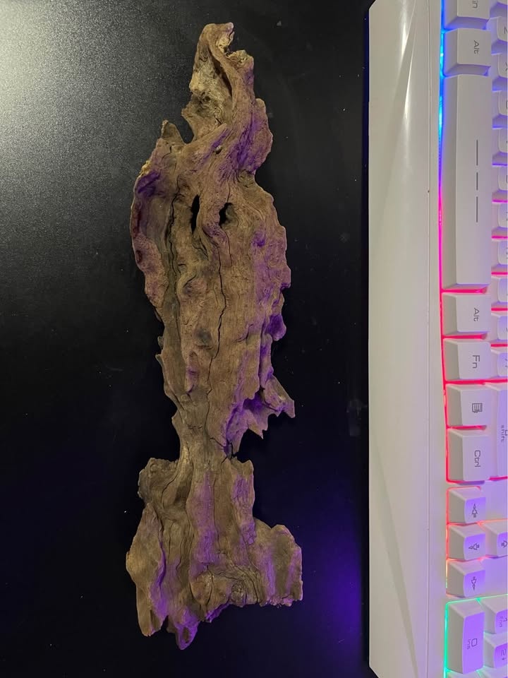 Aquarium Decoration Wood & Rocks - photo 2