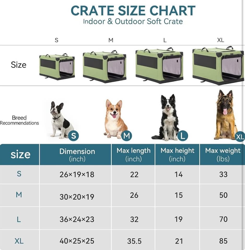 Pet Portable Carrier 🔥🔥🔥 - photo 4