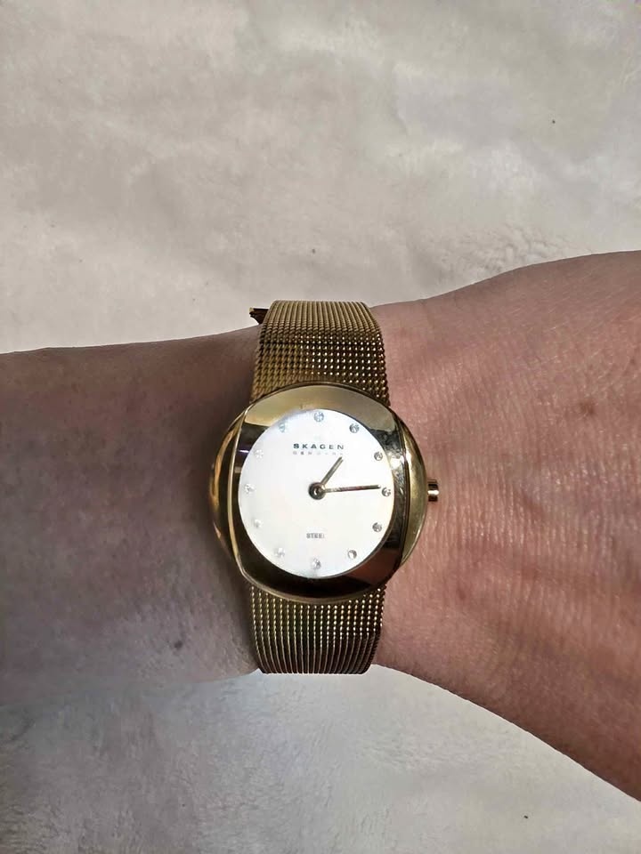 Skagen Ladies Watch Gold Tone Diamond Dial