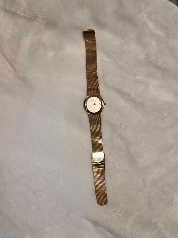 Skagen Ladies Watch Gold Tone Diamond Dial - photo 2