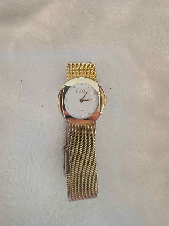 Skagen Ladies Watch Gold Tone Diamond Dial - photo 3