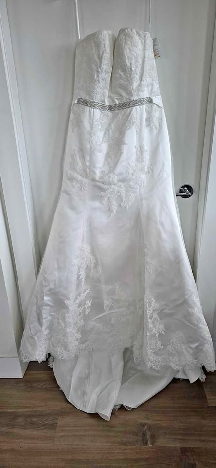 Brand new never worn wedding dress plus veil