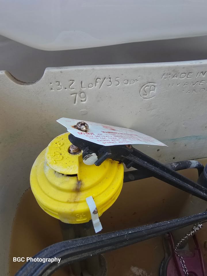 Free toilet - photo 4