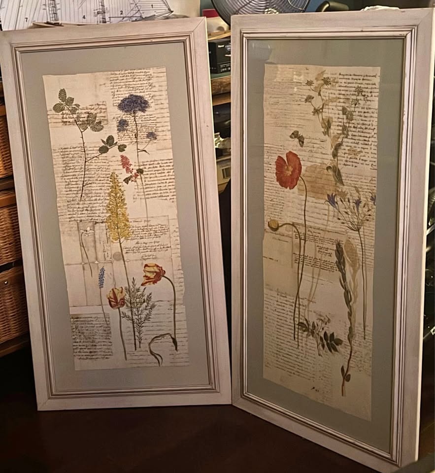 Floral Prints 19.5 x 37