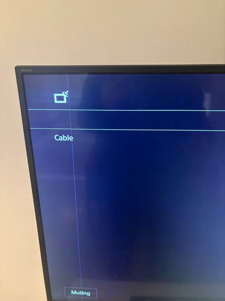 Sony 40" Bravia LED TV - Works Fine - Screen Defect (Line) - photo 2