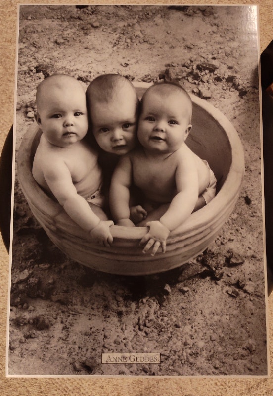 Anne Geddes Plaque Poster - Three Babies in Bowl