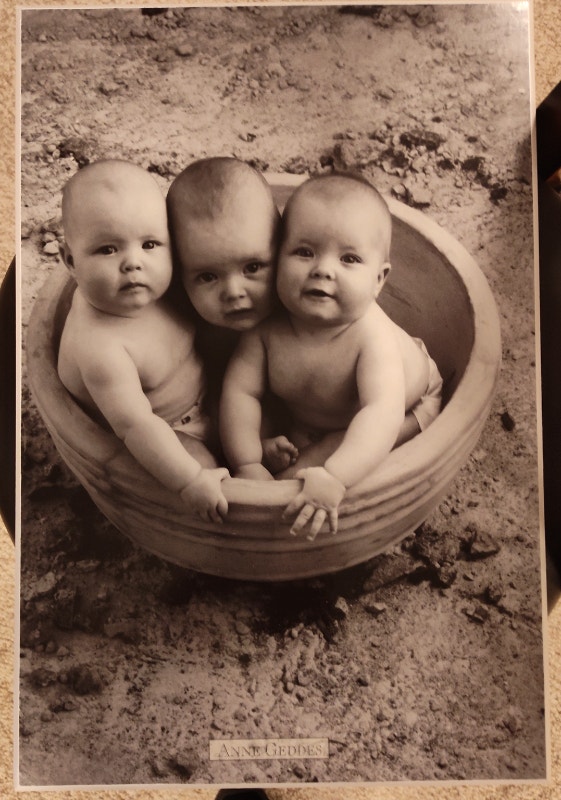 Anne Geddes Plaque Poster - Three Babies in Bowl - photo 2