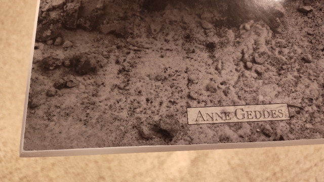 Anne Geddes Plaque Poster - Three Babies in Bowl - photo 3