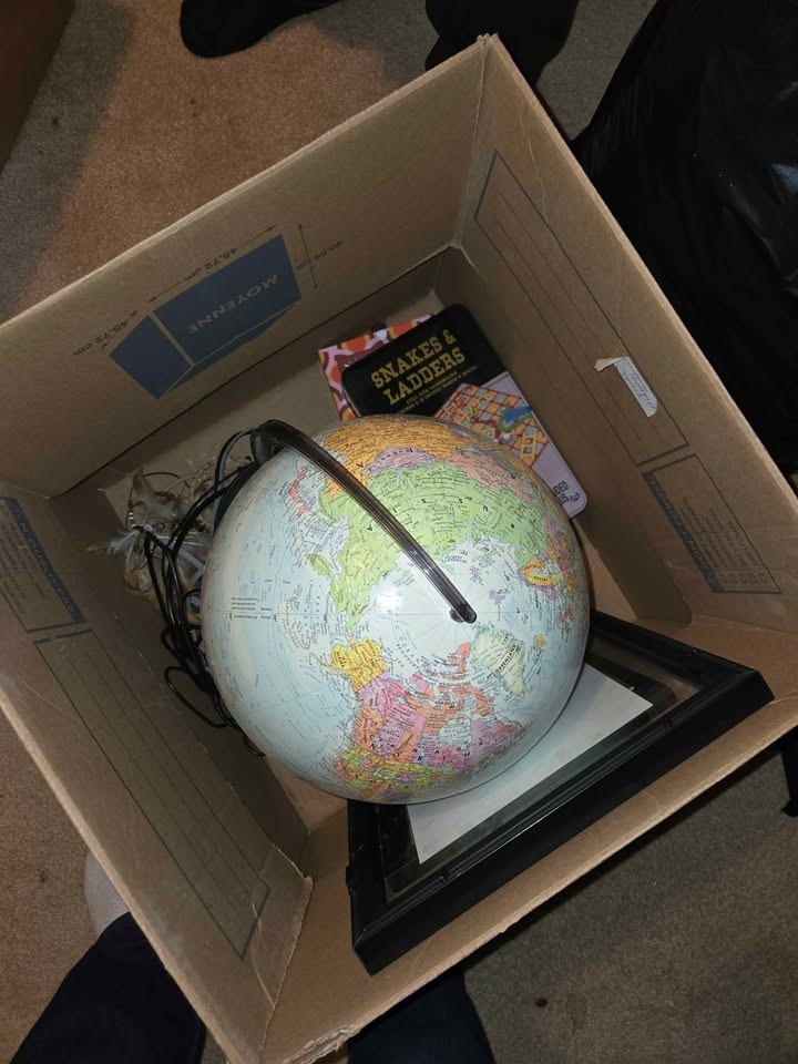 2 Globes Together - photo 2