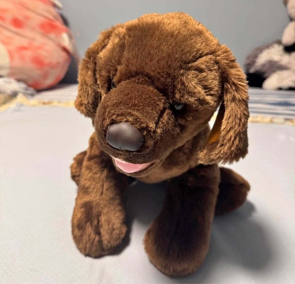Build-A-Bear Beremy's Kennel Pals Chocolate Lab