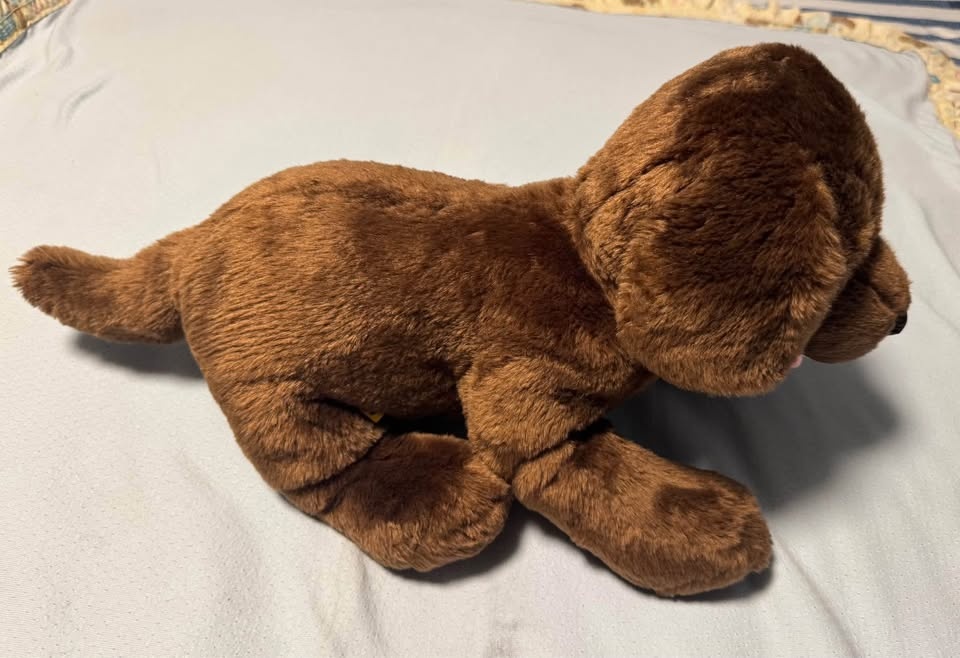 Build-A-Bear Beremy's Kennel Pals Chocolate Lab - photo 3